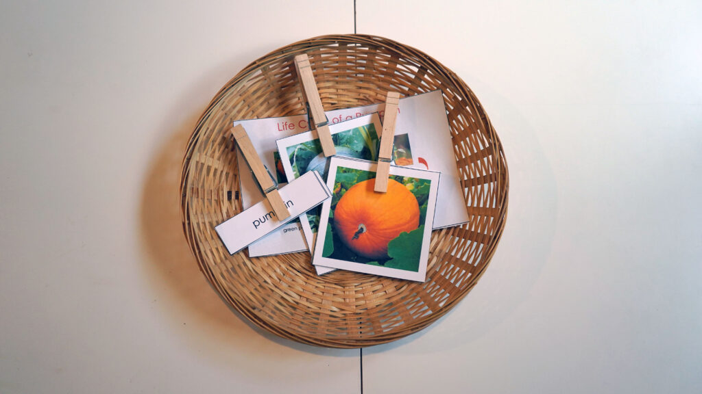 Pumpkin Montessori Activity 3 part cards