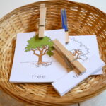 Fall Montessori Inspired Activities for Toddlers and Preschoolers