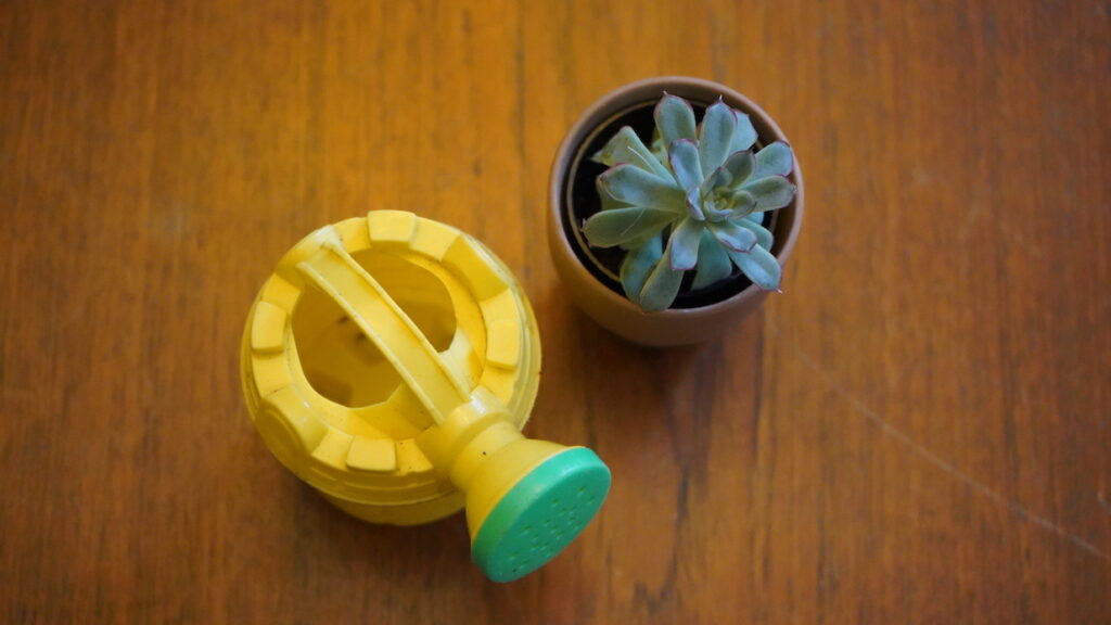 Toddler Gift - Watering Can