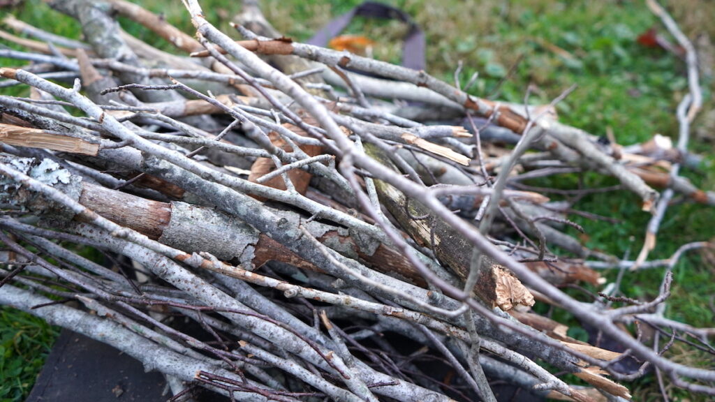 Fire Pit Kindling