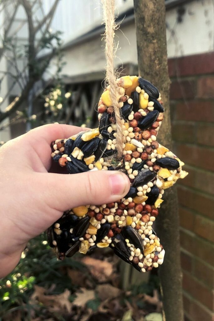 Birdseed Ornament for Kids