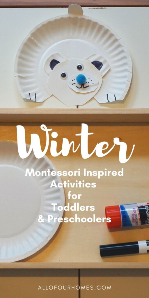 Winter Montessori Activities Toddlers