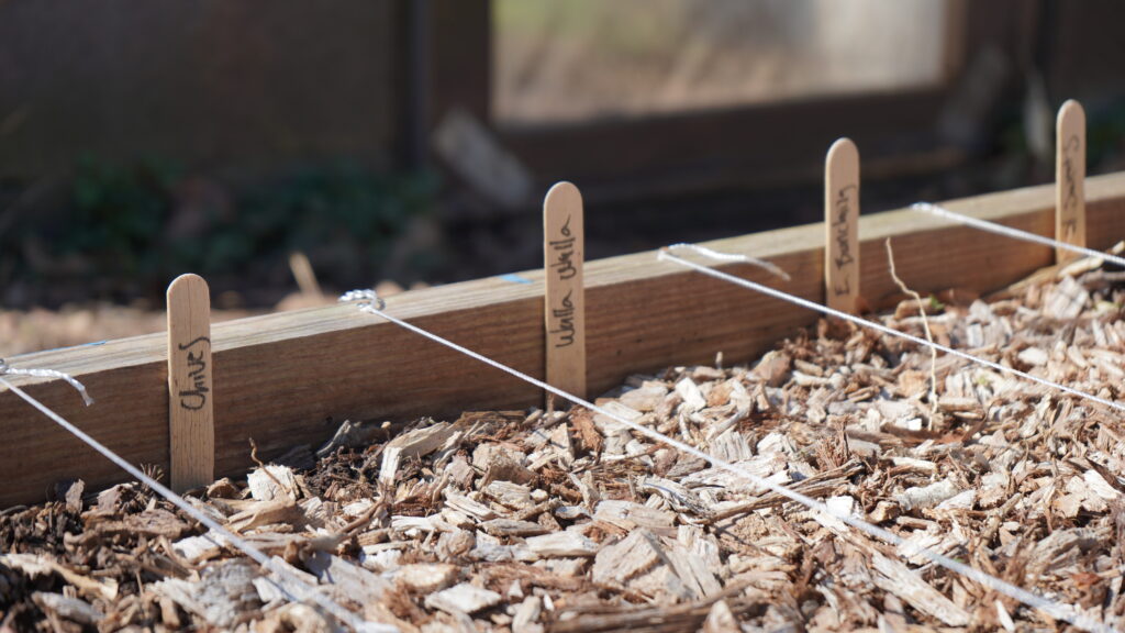 Planter bed