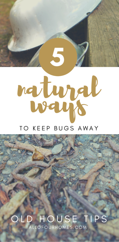 Natural Ways to Keep Bugs Away