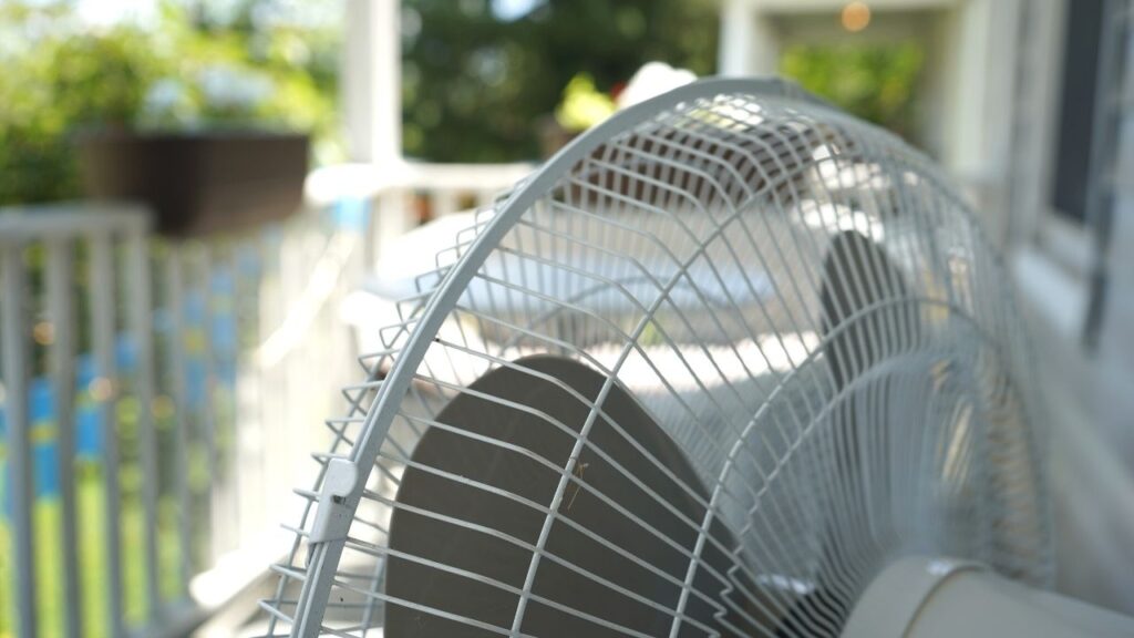 Fan as Natural Bug Repellent