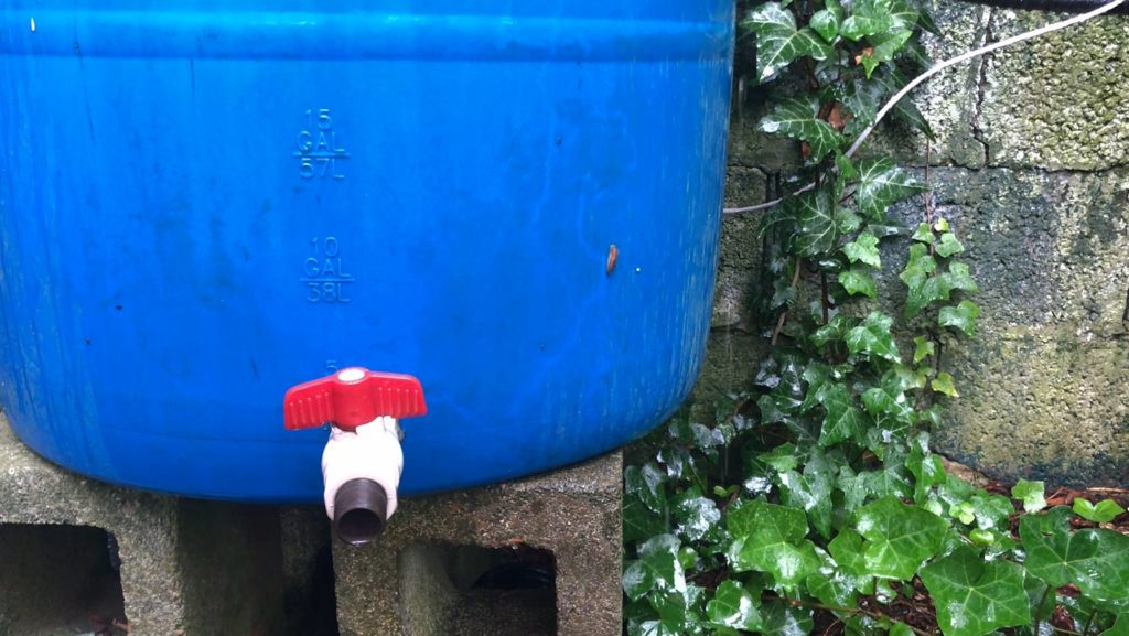 Rain barrel Old house