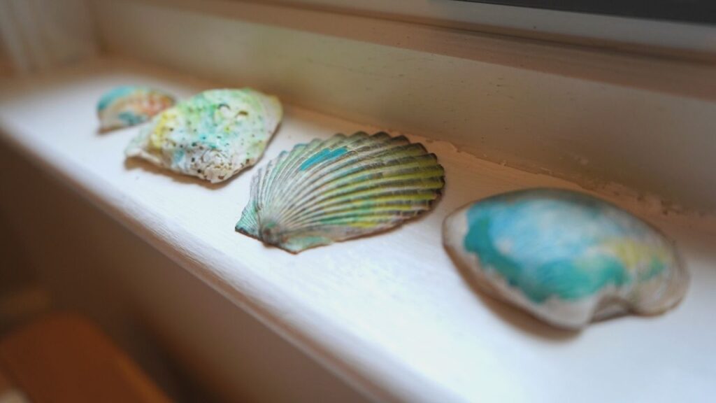 Water color shells
