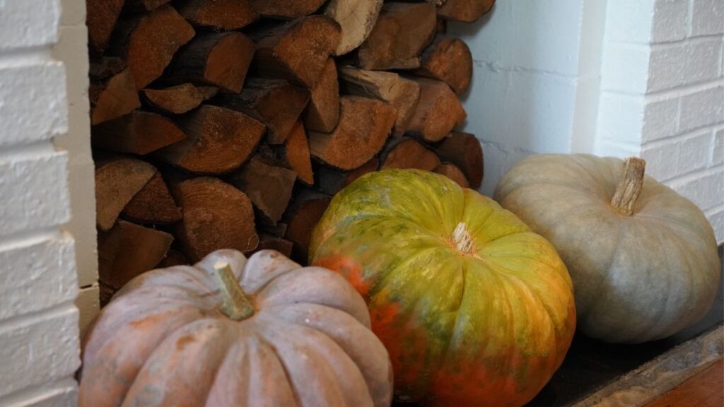 Fall Decor you can eat 3 Pumpkins