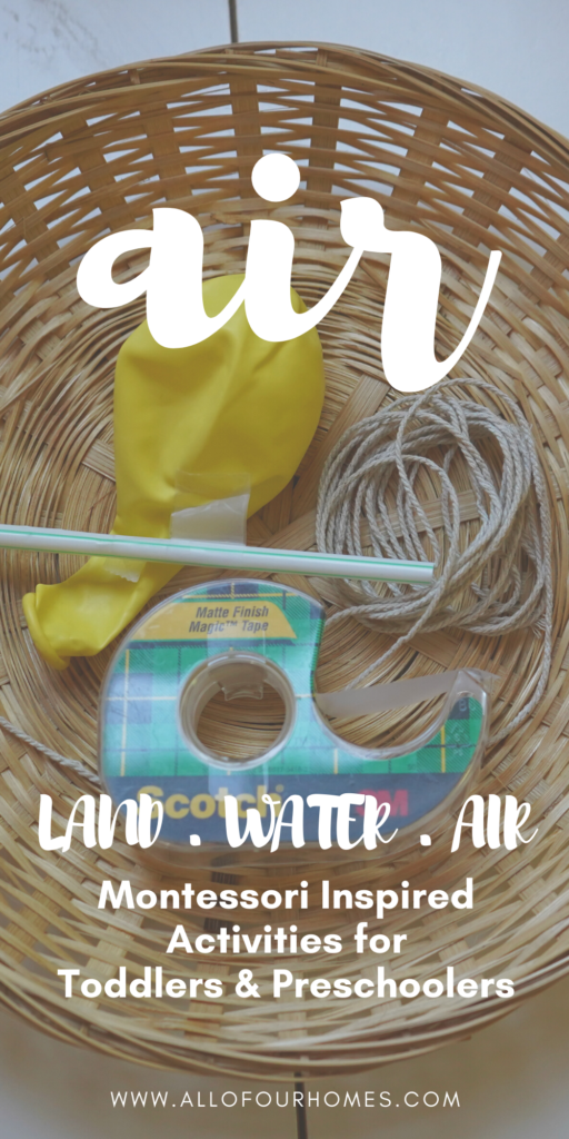 Land Water Air Montessori Activities 