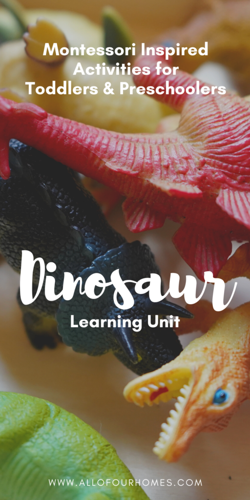 Dinosaur Montessori Inspired Activities
