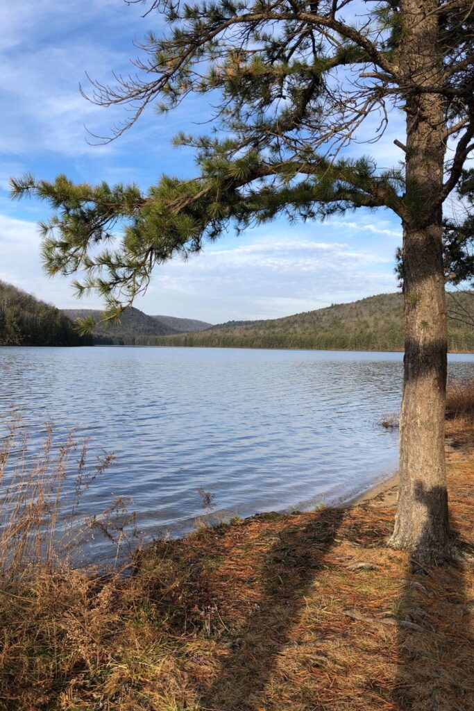 gypsy spring cabin reservoir