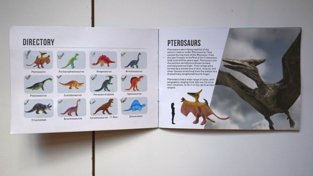 Montessori Inspired Dinosaur Unit
