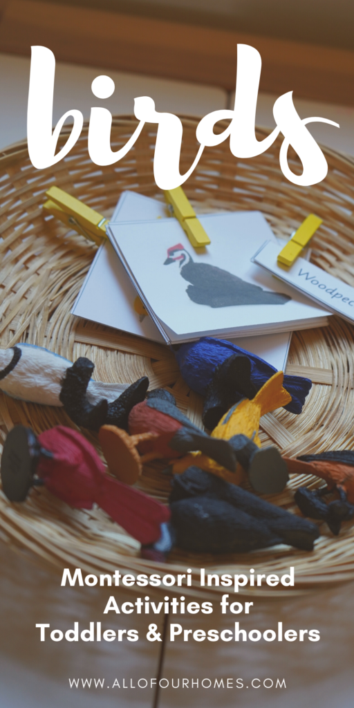 BIRDS MONTESSORI ACTIVITIES