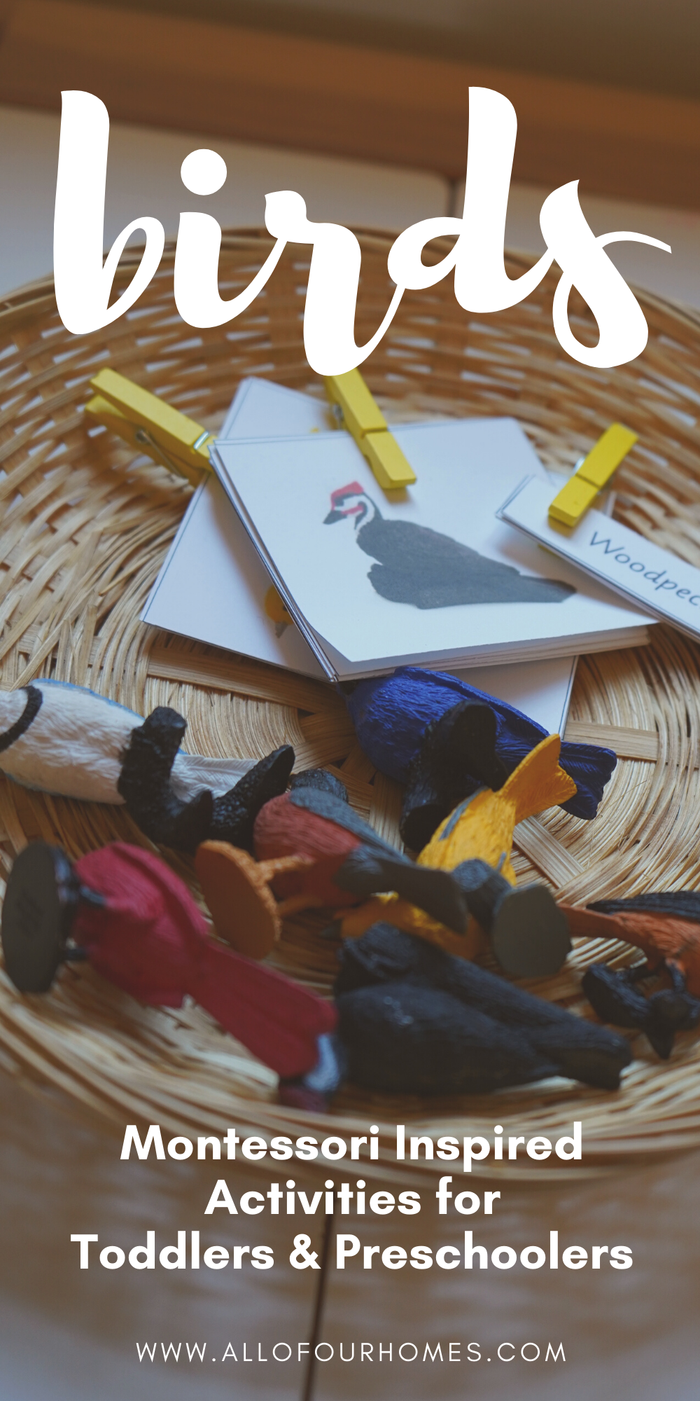 Birds | Montessori Inspired Activities - All Of Our Homes