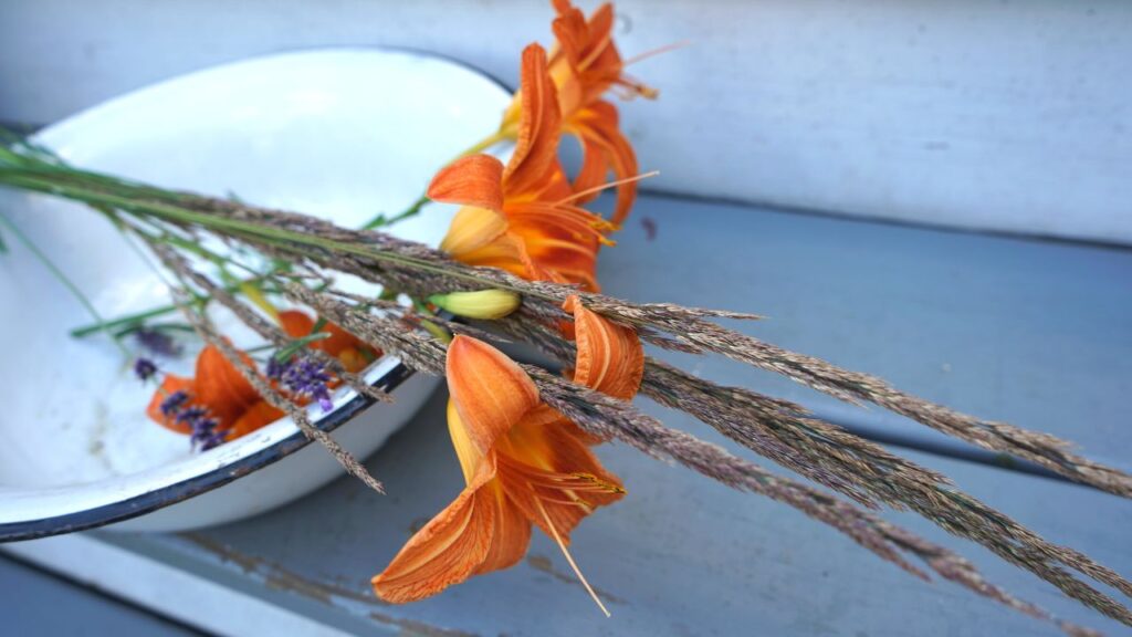 Summer Patio Flowers