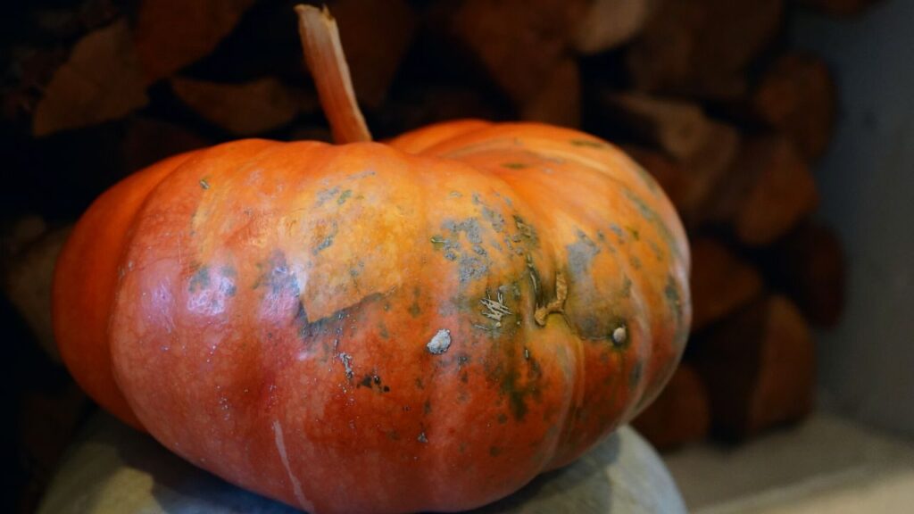 simple fall decor ideas pumpkin stack