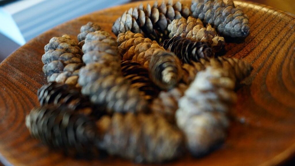 hygge fall decor pinecones